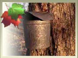 Maple syrup buckets